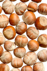 Similar image 832666