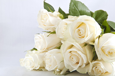 Similar image 832673