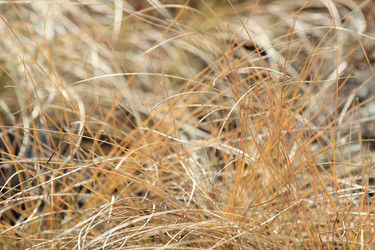 Similar image 832723