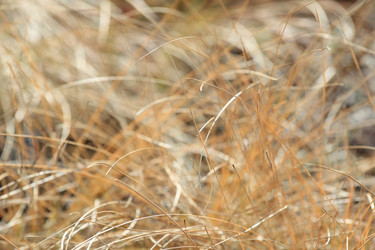 Similar image 832734