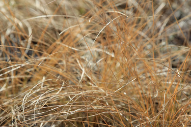 Similar image 832736