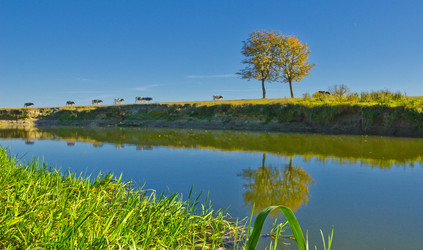 Similar image 832757