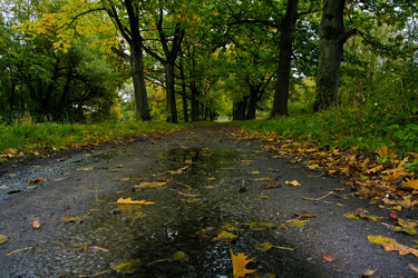 Similar image 832769