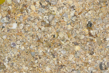 Similar image 832780