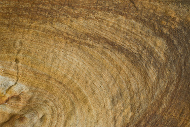 Similar image 832784