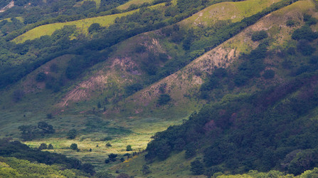 Similar image 832792