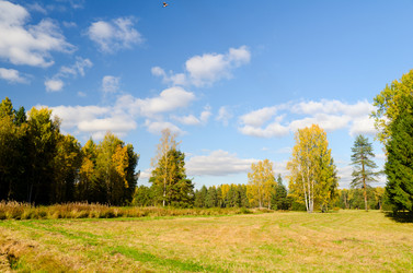 Similar image 832811