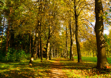 Similar image 832812