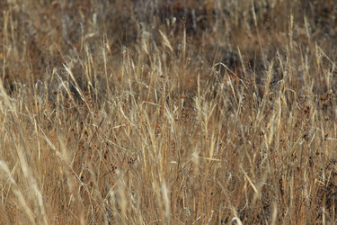 Similar image 832821