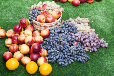 Similar image 832822