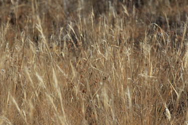 Similar image 832824