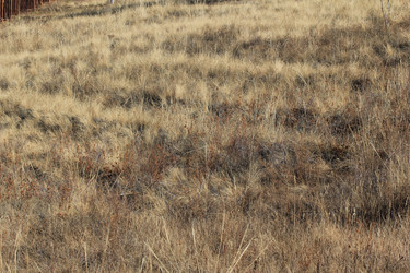 Similar image 832834