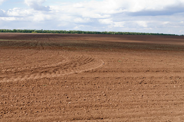 Similar image 832840