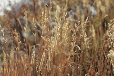 Similar image 832841