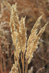 Similar image 832850