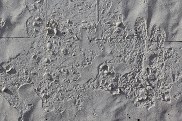 Similar image 832869