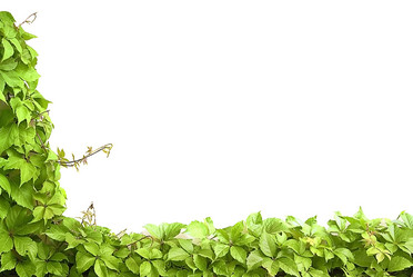 Similar image 832881