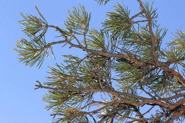 Similar image 832898