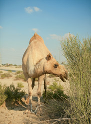 Similar image 832917