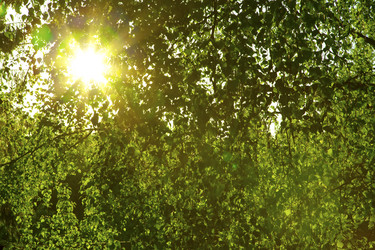 Similar image 832922