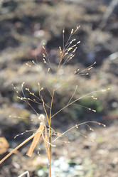 Similar image 832926