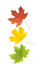 Similar image 832927