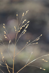 Similar image 832930