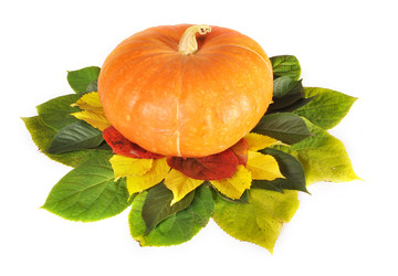 Similar image 832933