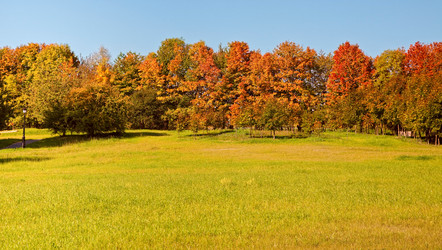 Similar image 832934