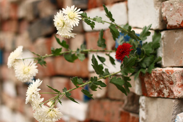 Similar image 832939