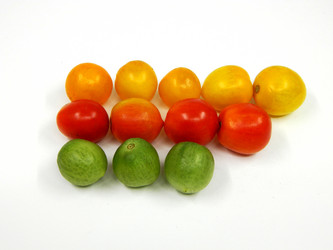 Similar image 832949