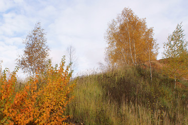 Similar image 832972