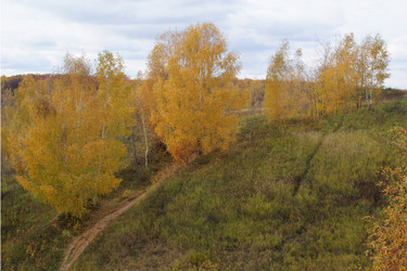 Similar image 832973