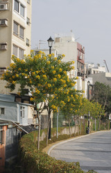 Similar image 832981