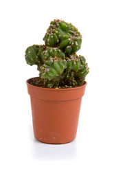 Similar image 832989