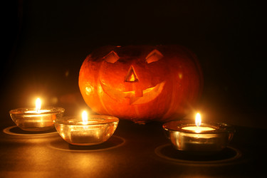 Similar image 833037