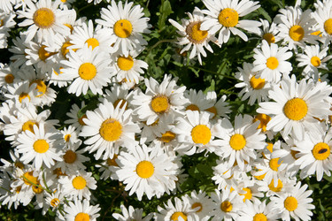 Similar image 833051