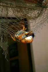 Similar image 833054