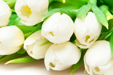 Similar image 833056