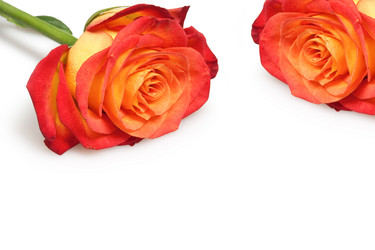 Similar image 833068