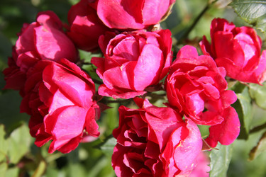 Similar image 833097