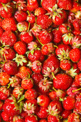 Similar image 833109