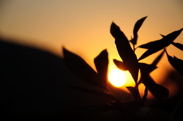 Similar image 833116