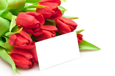 Similar image 833124