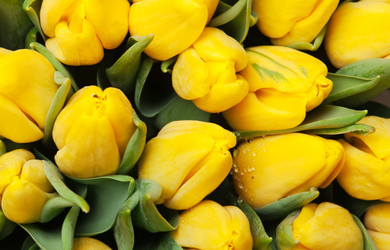 Similar image 833126