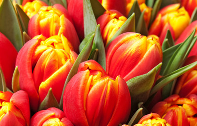 Similar image 833128