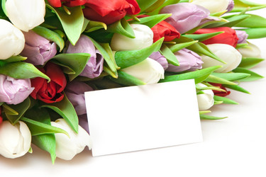 Similar image 833129