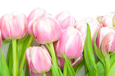 Similar image 833130