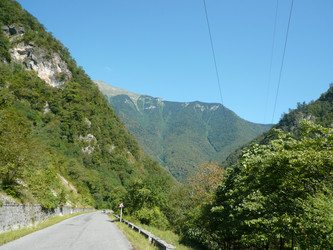 Similar image 833131