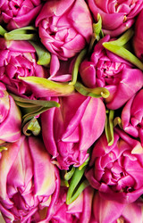 Similar image 833132